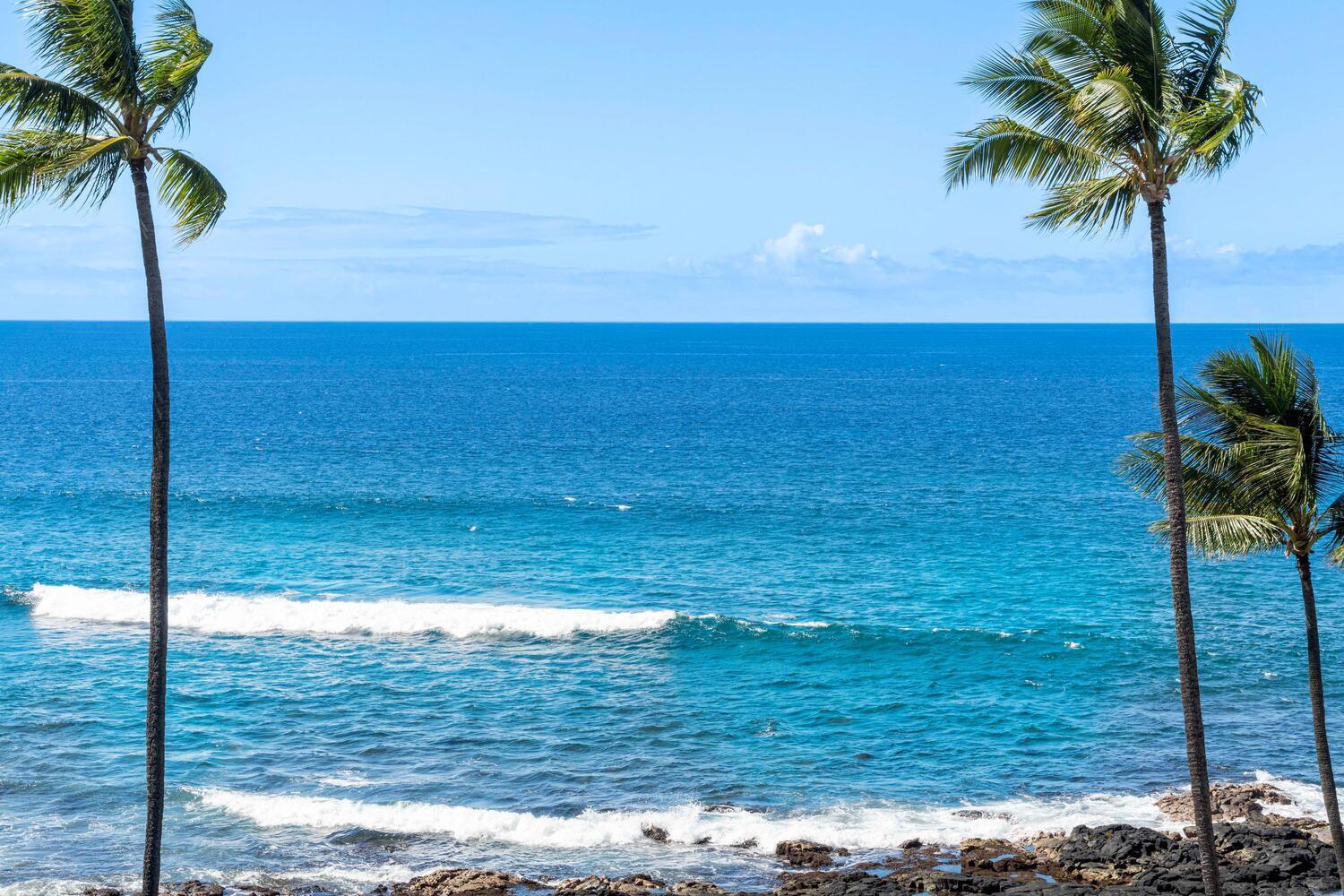 Kona Reef F23 Apartment