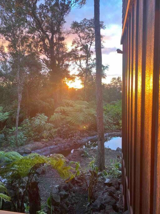 Private And Quiet Guest In Hawaii Cloud Forest *