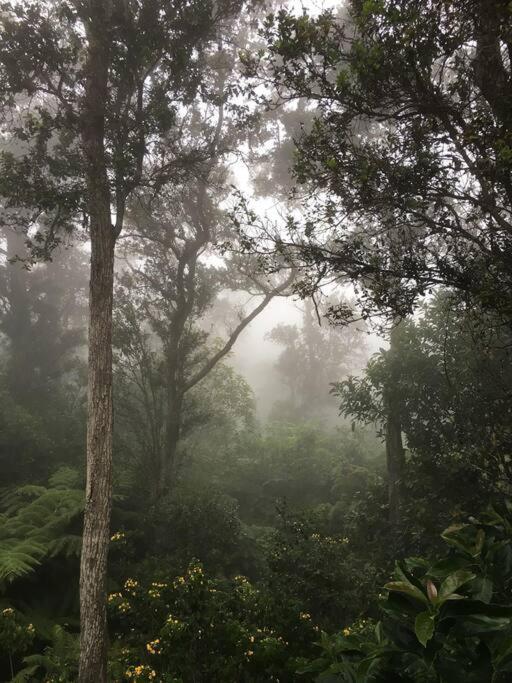 Apartment Private And Quiet Guest In Hawaii Cloud Forest Kailua-Kona