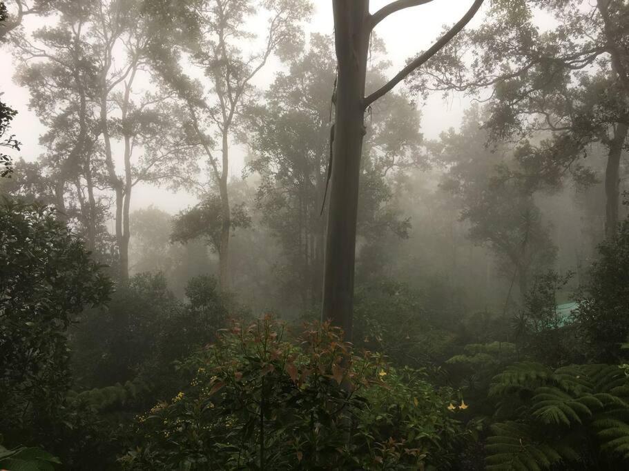 Apartment Private And Quiet Guest In Hawaii Cloud Forest *