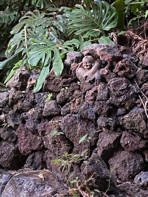 Private And Quiet Guest In Hawaii Cloud Forest Apartment *