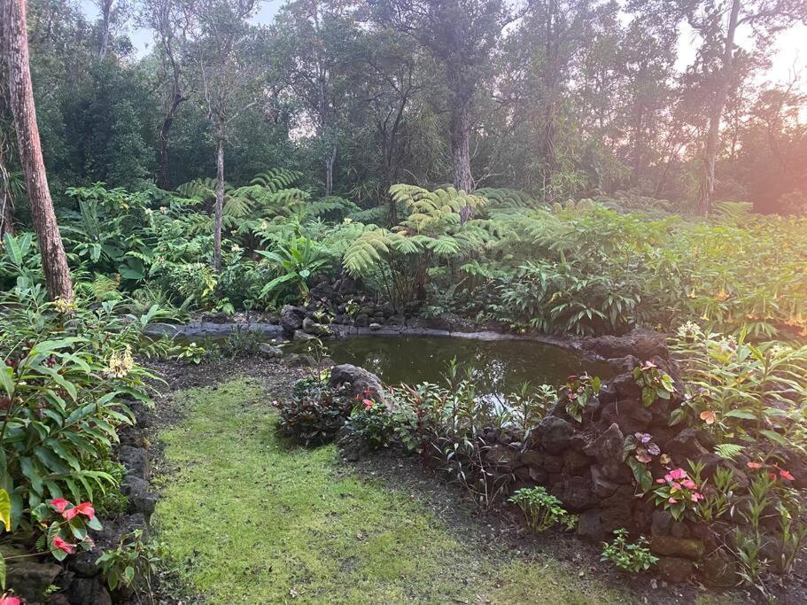 Private And Quiet Guest In Hawaii Cloud Forest *
