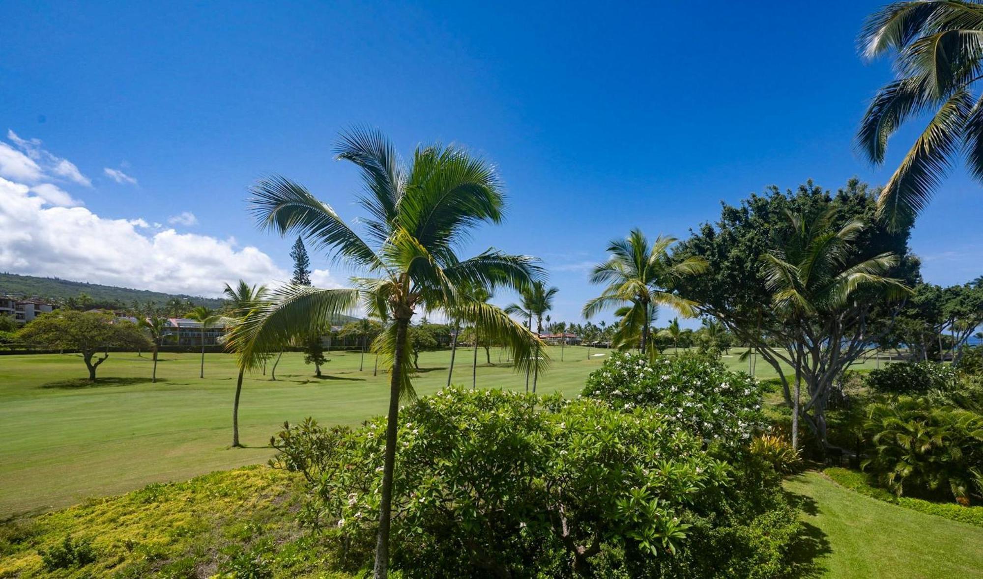 Checahale: Gorgeous Floor Corner With Ac Holiday home