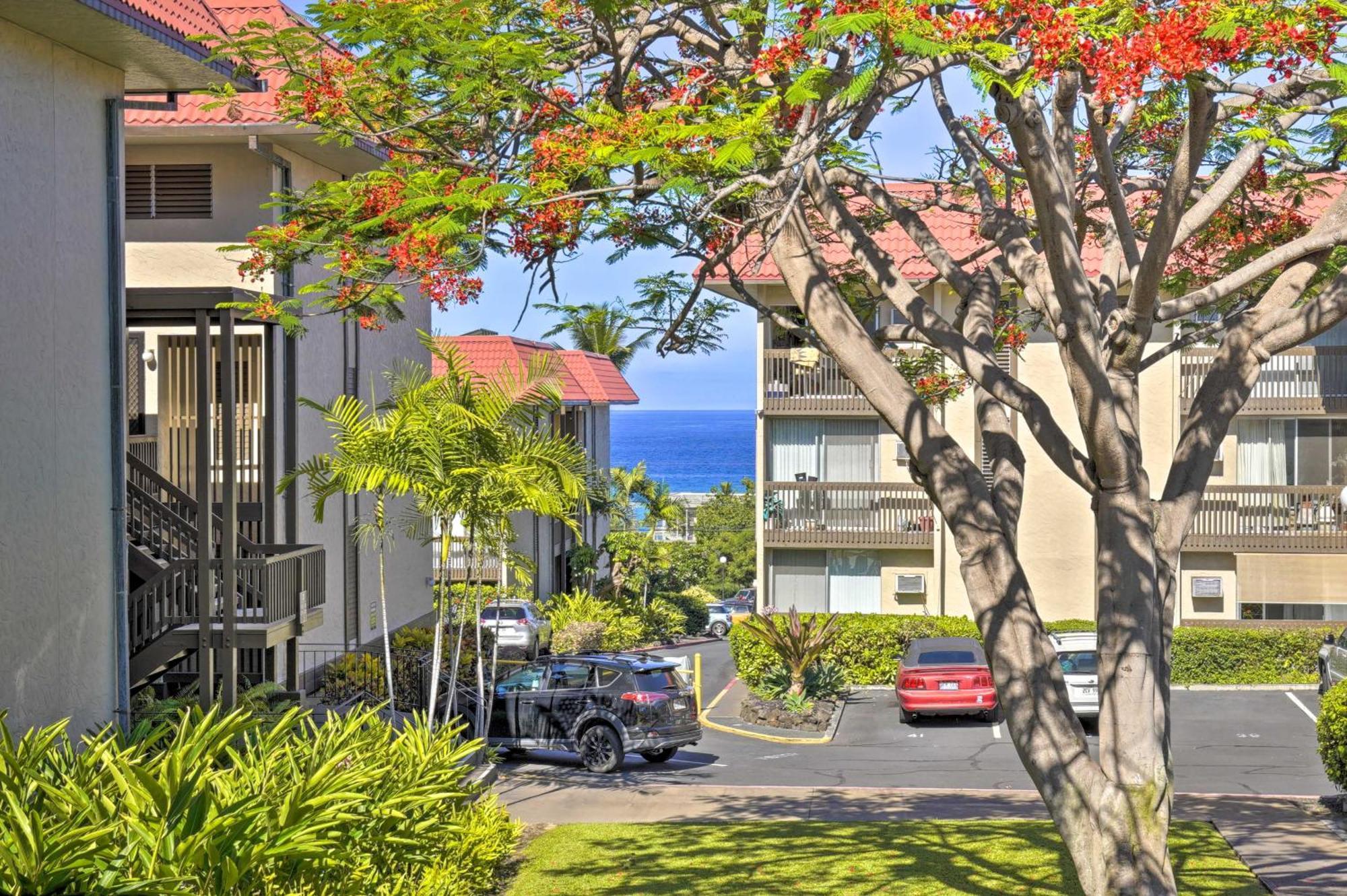 Apartment Airy Less Than 1 Mi To And Town *