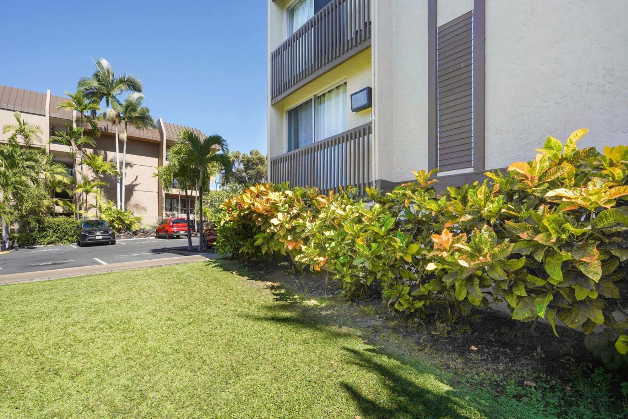 Apartment Airy Less Than 1 Mi To And Town Kailua-Kona