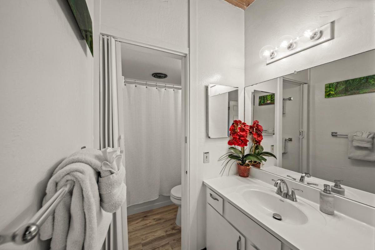 Apartment Newly Upgraded 1br Unit Near Max Of 5 Guests