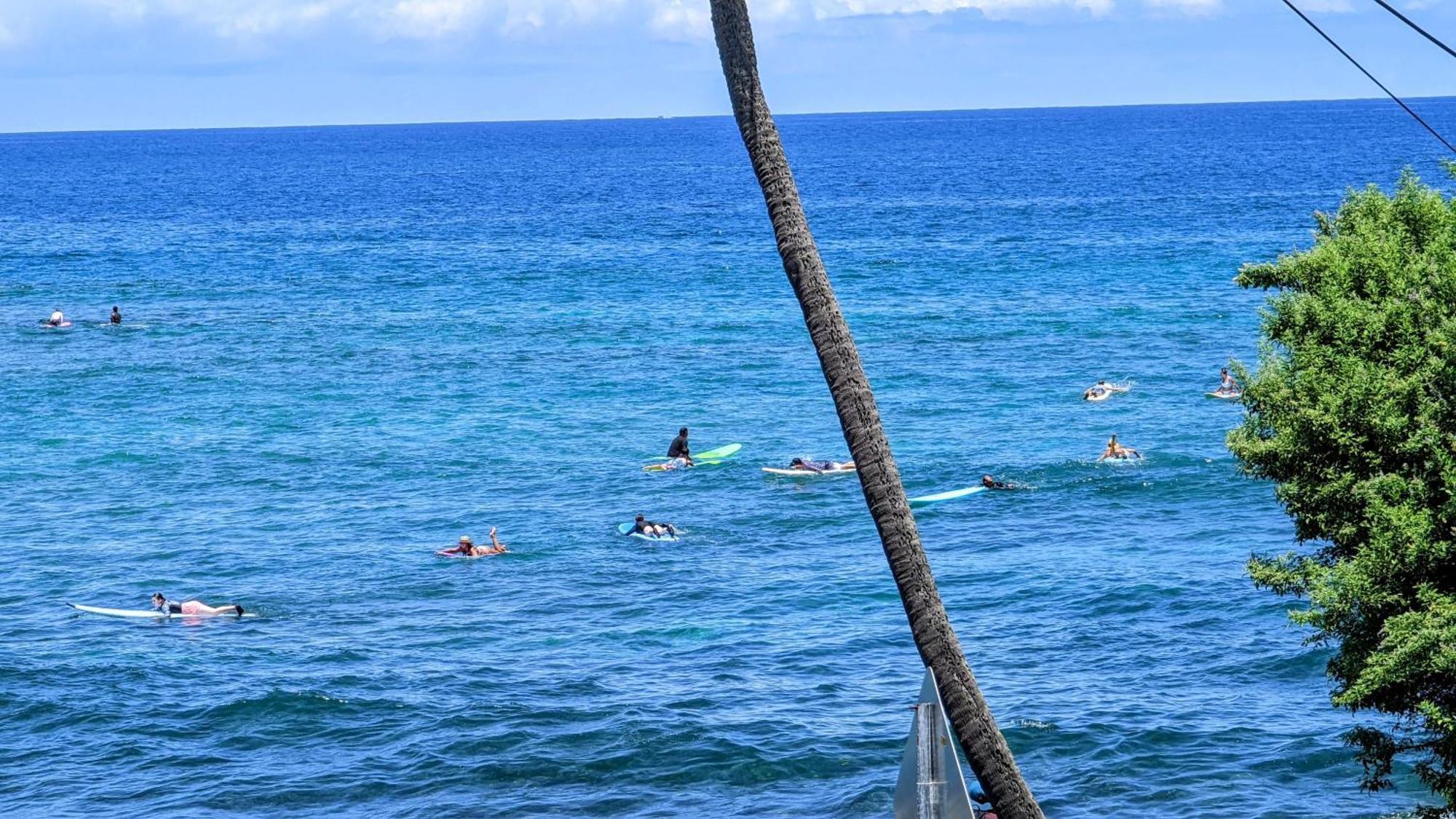 Apartment Seaspray Oceanview *