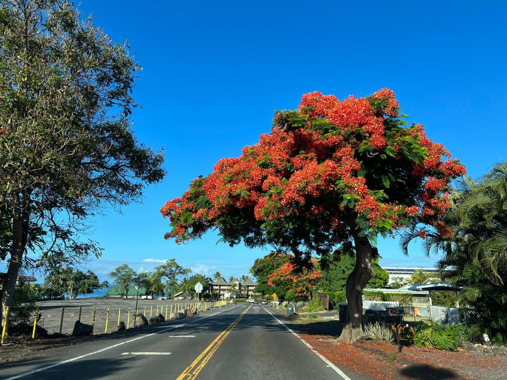 Mailan Hale Kailua-Kona