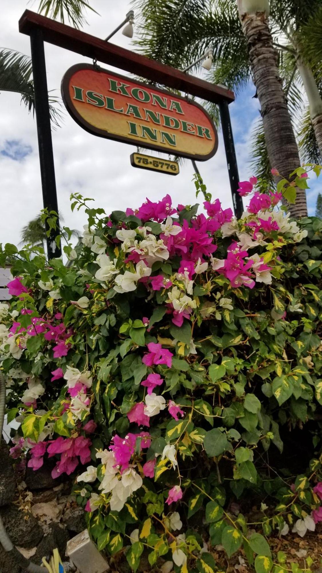 Downtown Hawaiian Theme With Hot Tub, Pool & - Kona Islander *