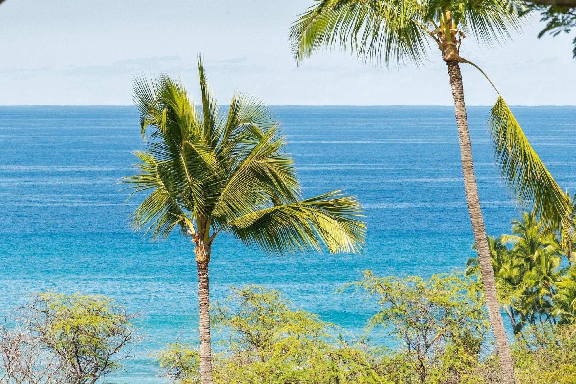 Apartment Big Island Keauhou Akahi #311 Kailua-Kona