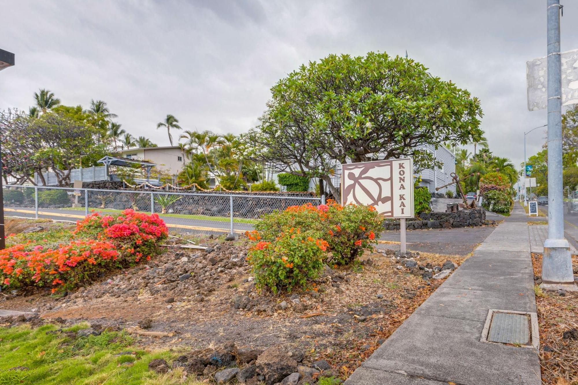 Apartment Kona Kai Haven With Pool Access, Walk To Beach! Kailua-Kona