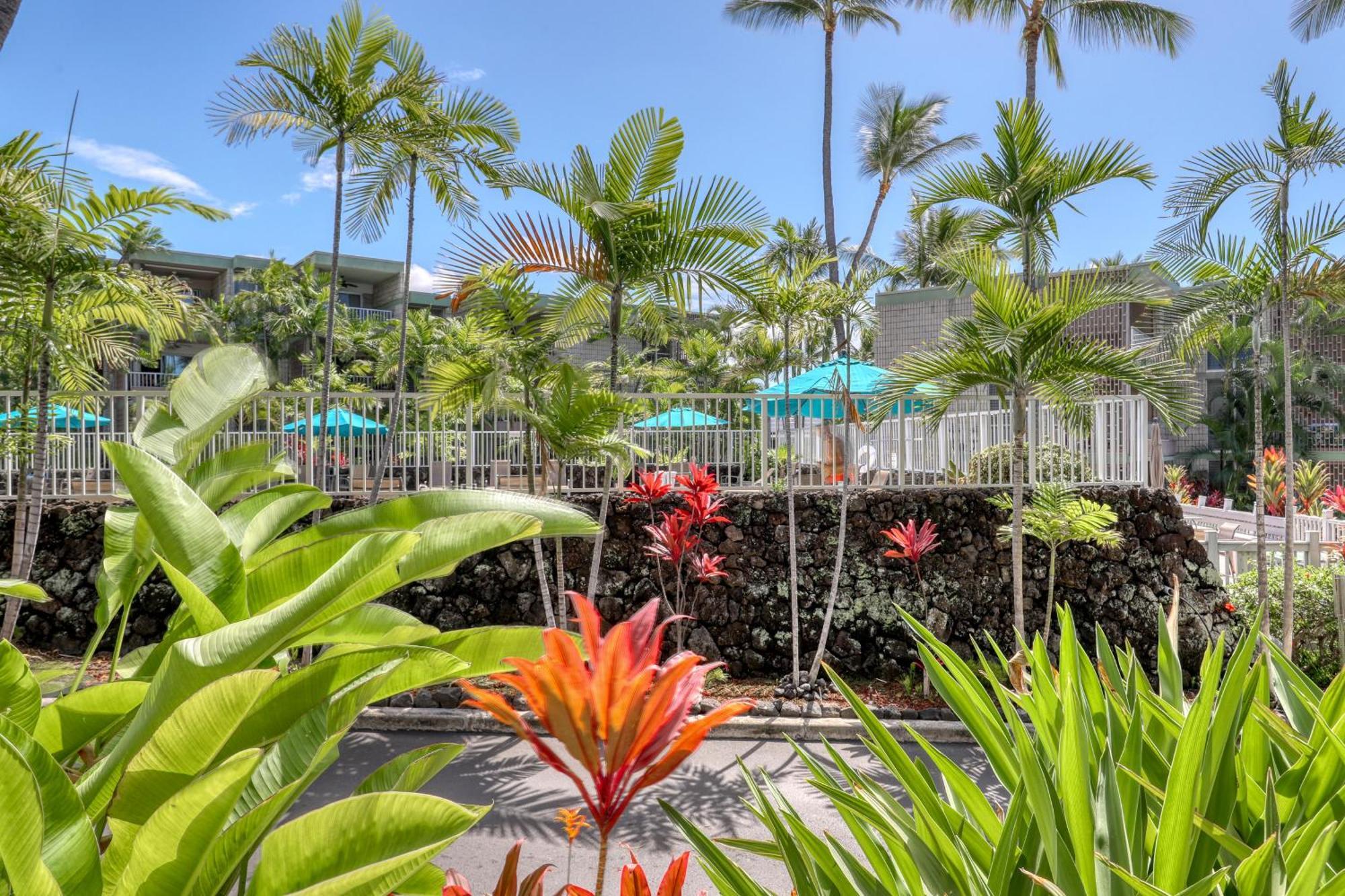 Alii * Kailua-Kona