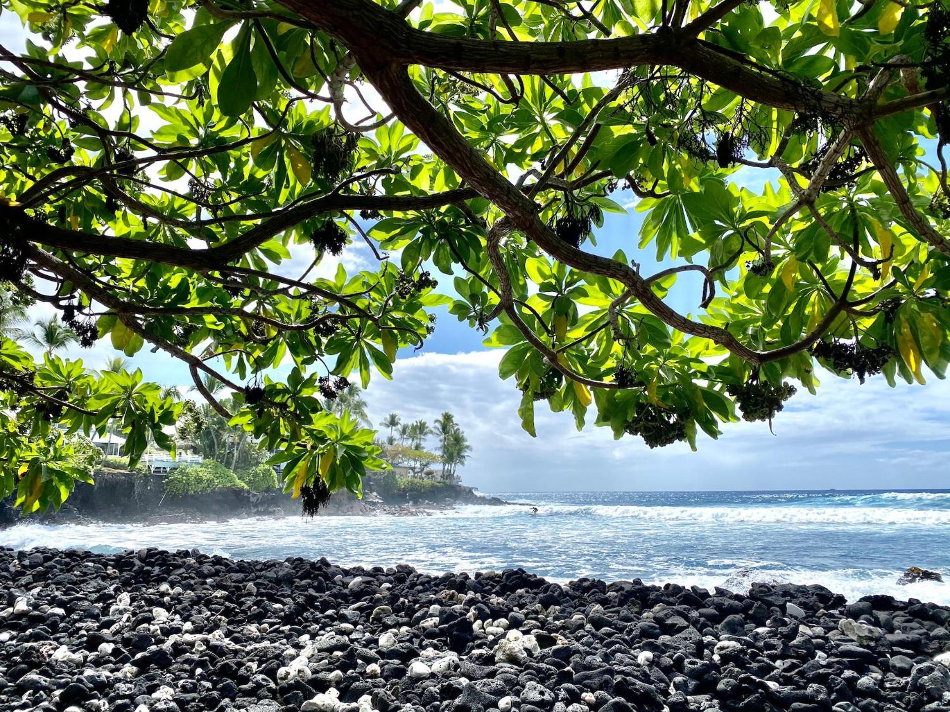 Ocean Breeze Kona Holiday home