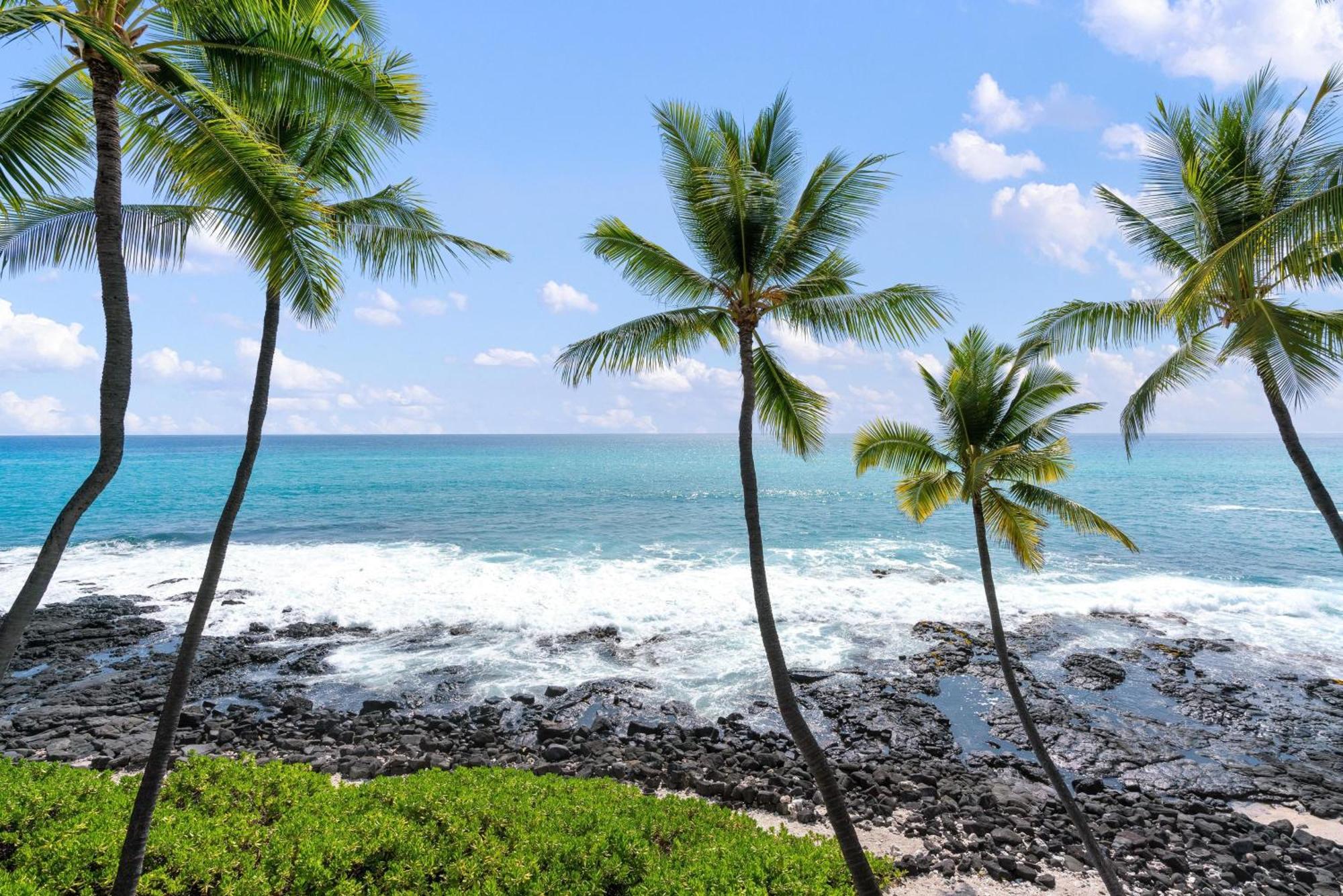 Apartment Big Island Kona Nalu By Coldwell Banker Island Vacations