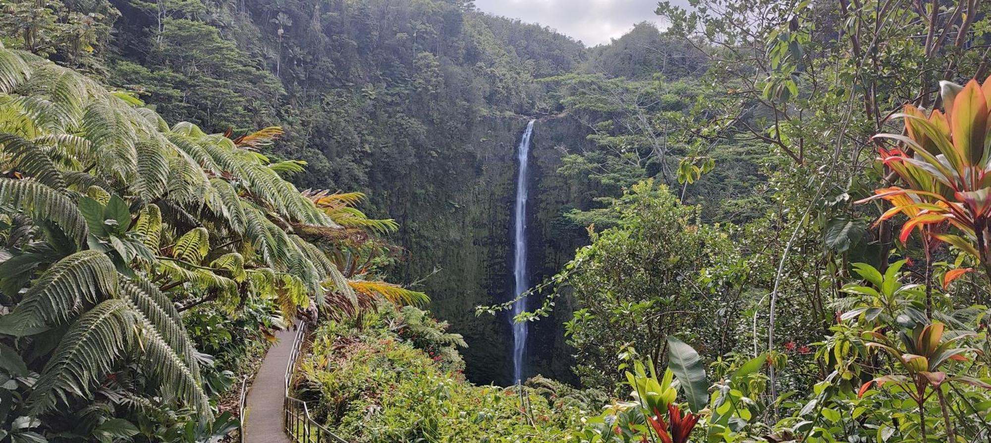 Amazing Island Paradise With Ocean & Golf View Kailua-Kona