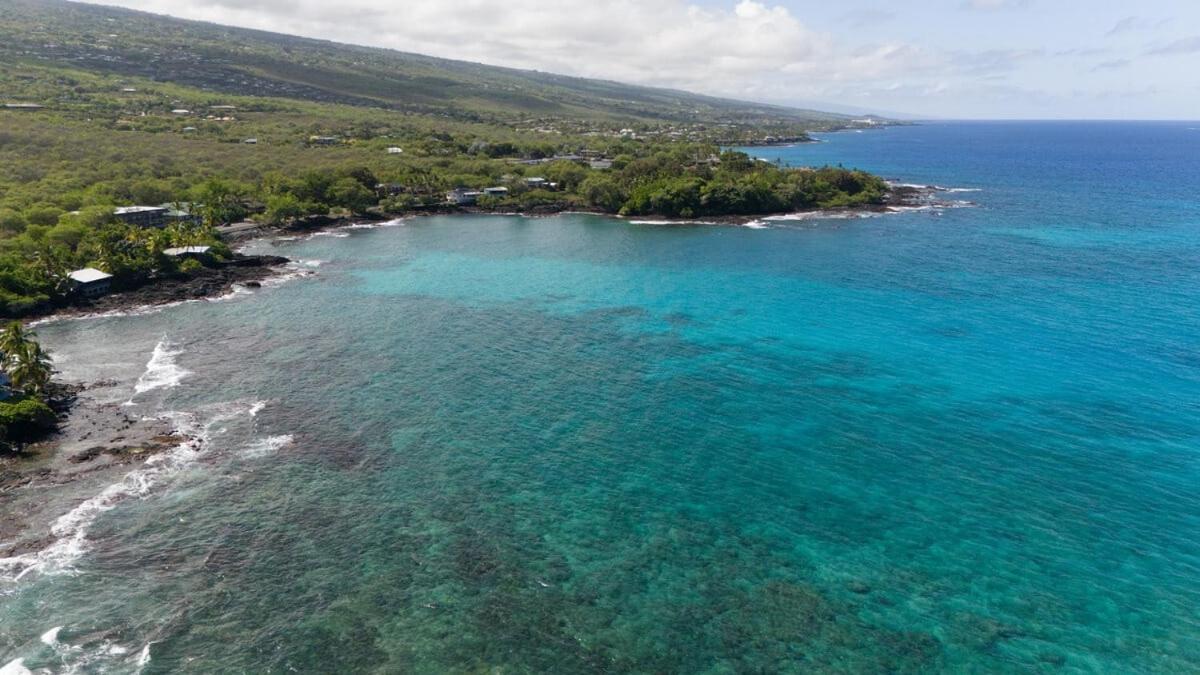 Oceanfront 1 Bedroom 2 Bathroom With Large Lanai - Kona Bali Kai 218