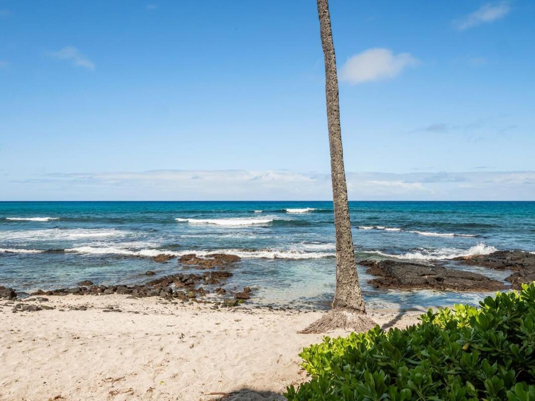 Oceanfront 1 Bedroom 2 Bathroom With Large Lanai - Kona Bali Kai 218 Kailua-Kona