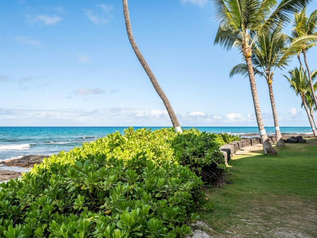 Oceanfront 1 Bedroom 2 Bathroom With Large Lanai - Kona Bali Kai 218 Holiday home