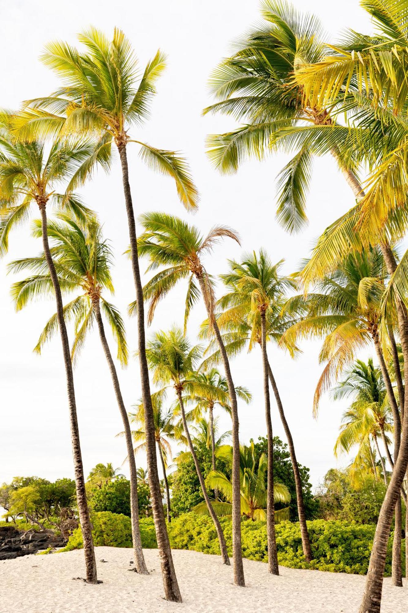 Sunset Shores - Unit B Kaiupoho * Keauhou