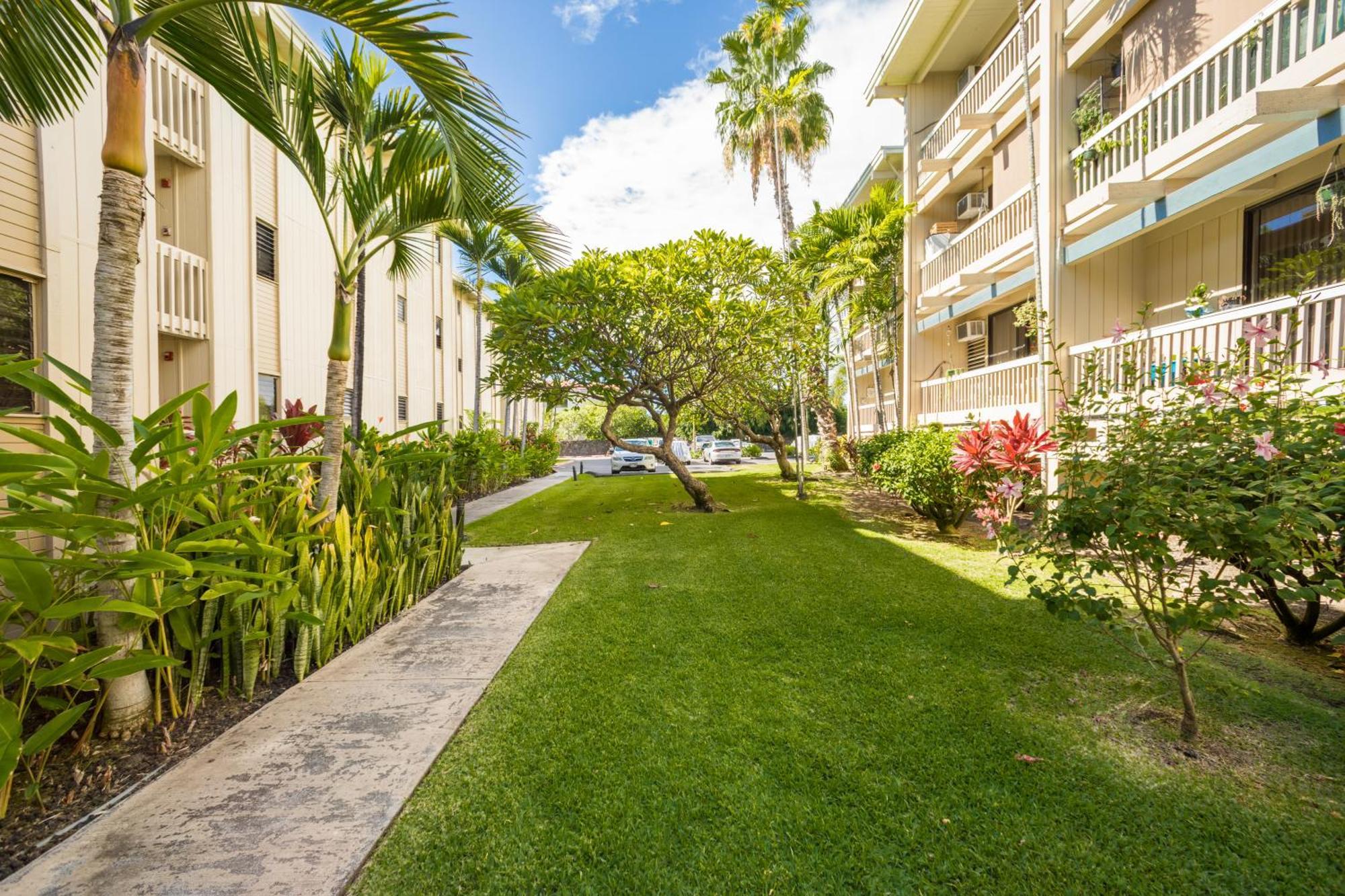 Amazing Peaks Of Ocean View On Ali'i Dr By Surf Spots Apartment