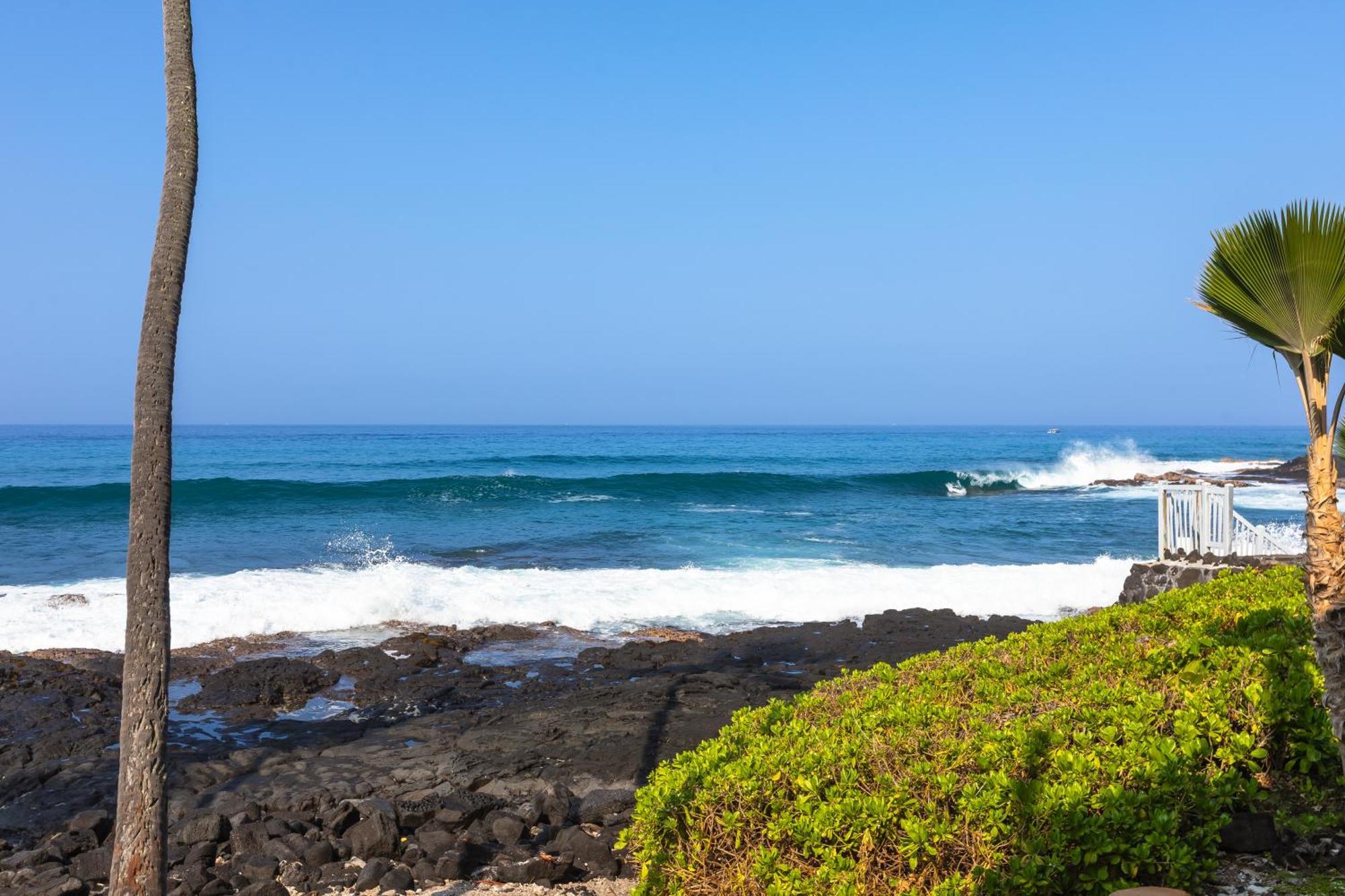 Kona Nalu 103 Apartment *