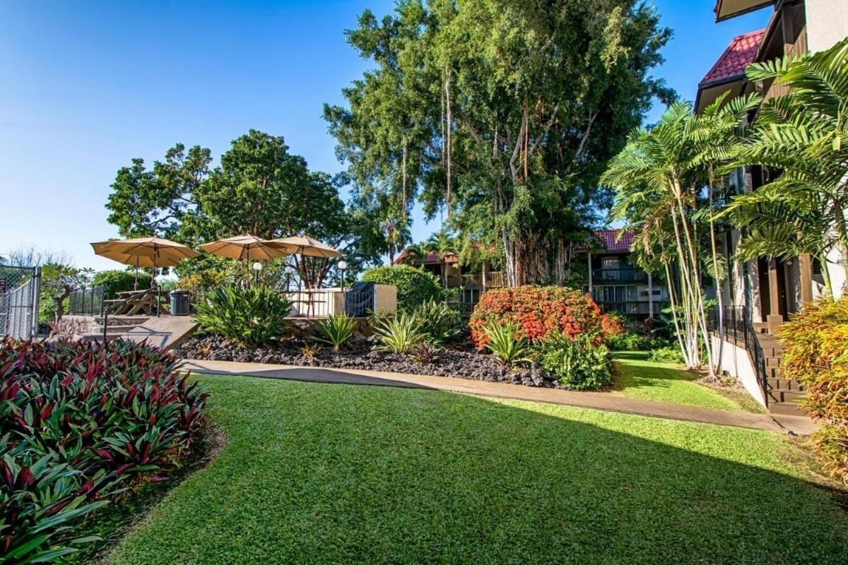 Apartment Charming 2 Bedroom In Gorgeous Kona Village With King Bed, Ac