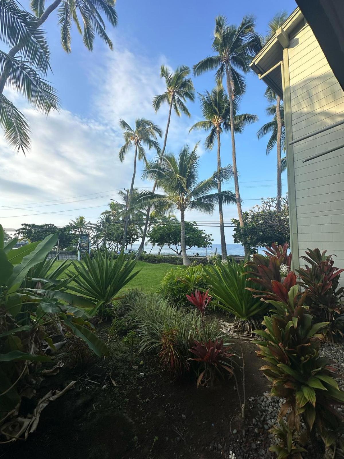 Apartment Islander *