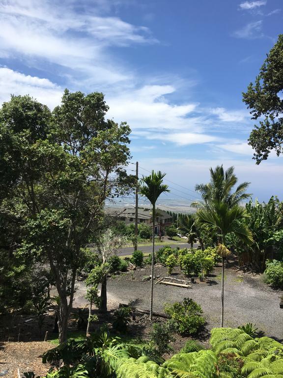 Guest house Coco-nut Hale
