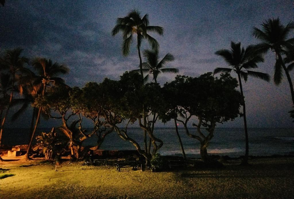 Homestay Kona Magic Honu Kailua-Kona
