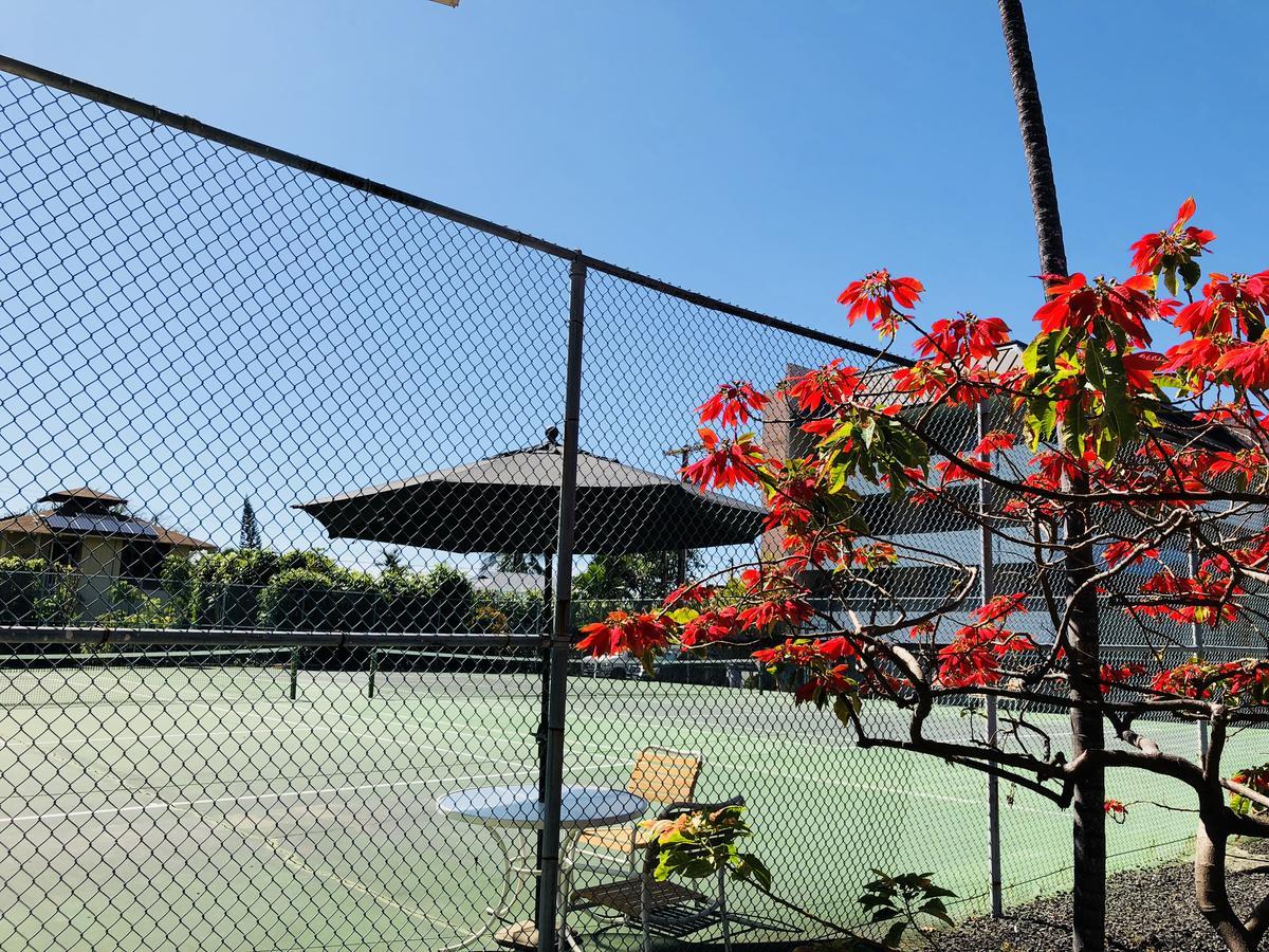 Kona Magic Honu Homestay