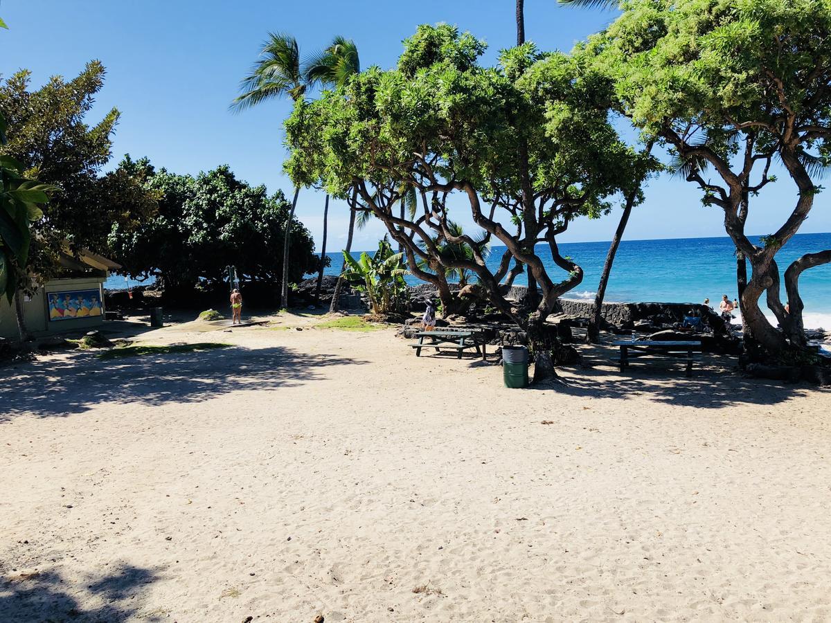 Kona Magic Honu Homestay Kailua-Kona