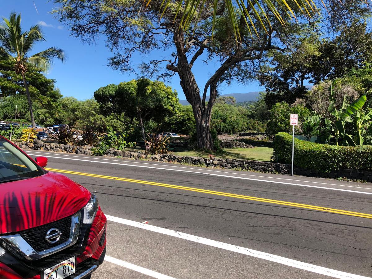 Kona Magic Honu Kailua-Kona