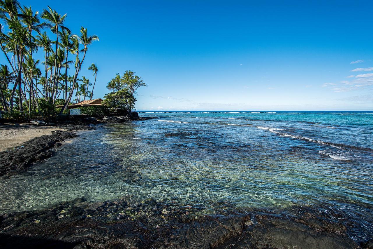 Kahaluu On Kona Coast Apartment *