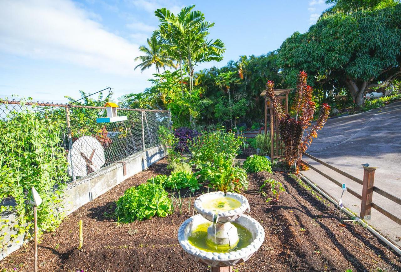 Villa Affordable Luxury On One Acre Kailua-Kona