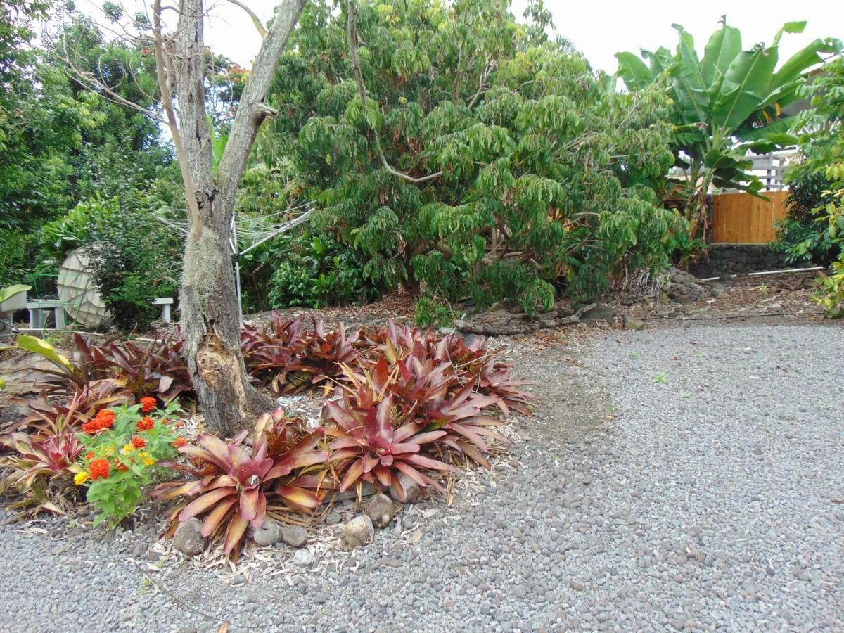 Guest house Coco-nut Hale *