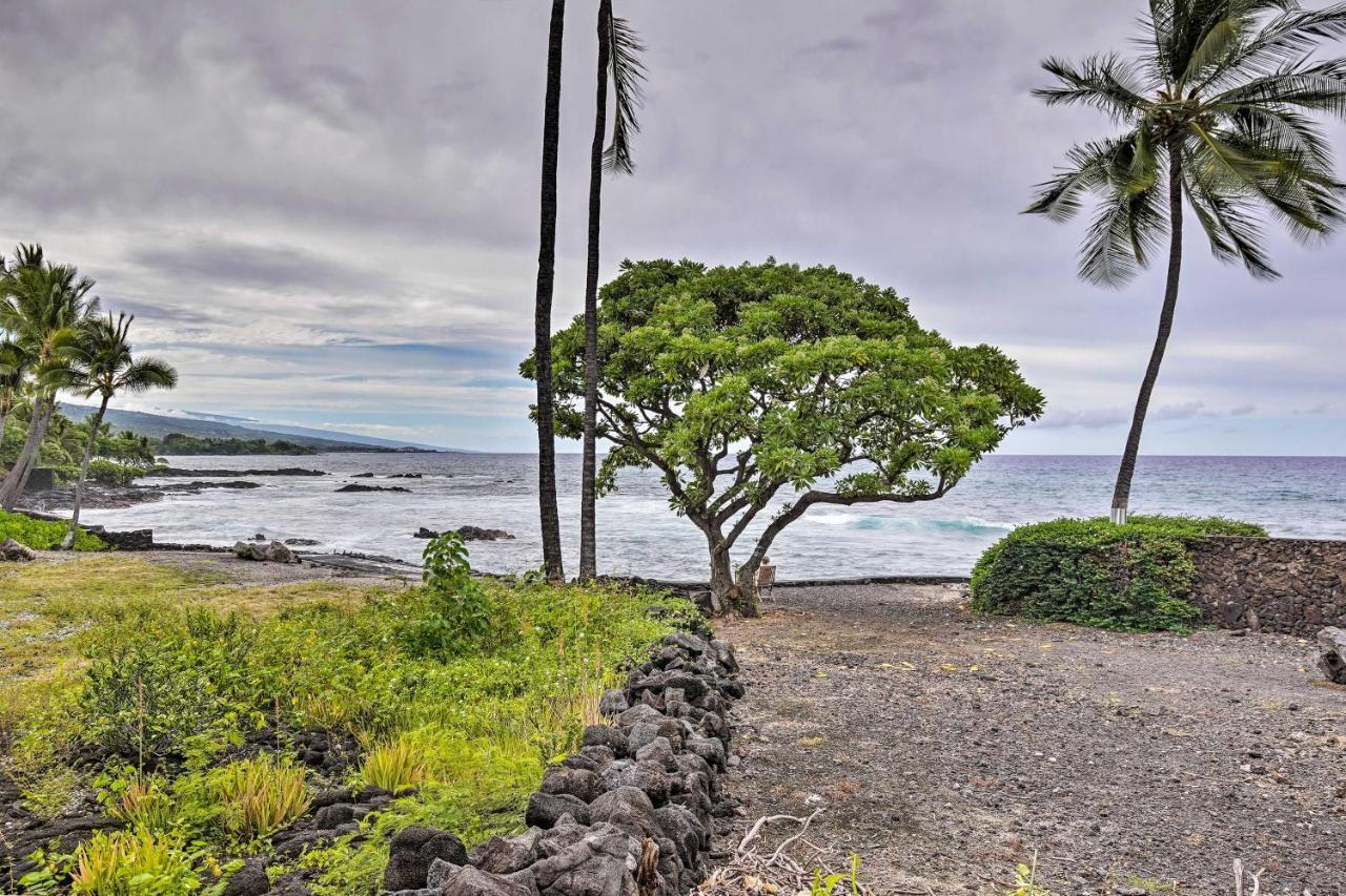 Walk To Turtle From Apt! Kailua-Kona