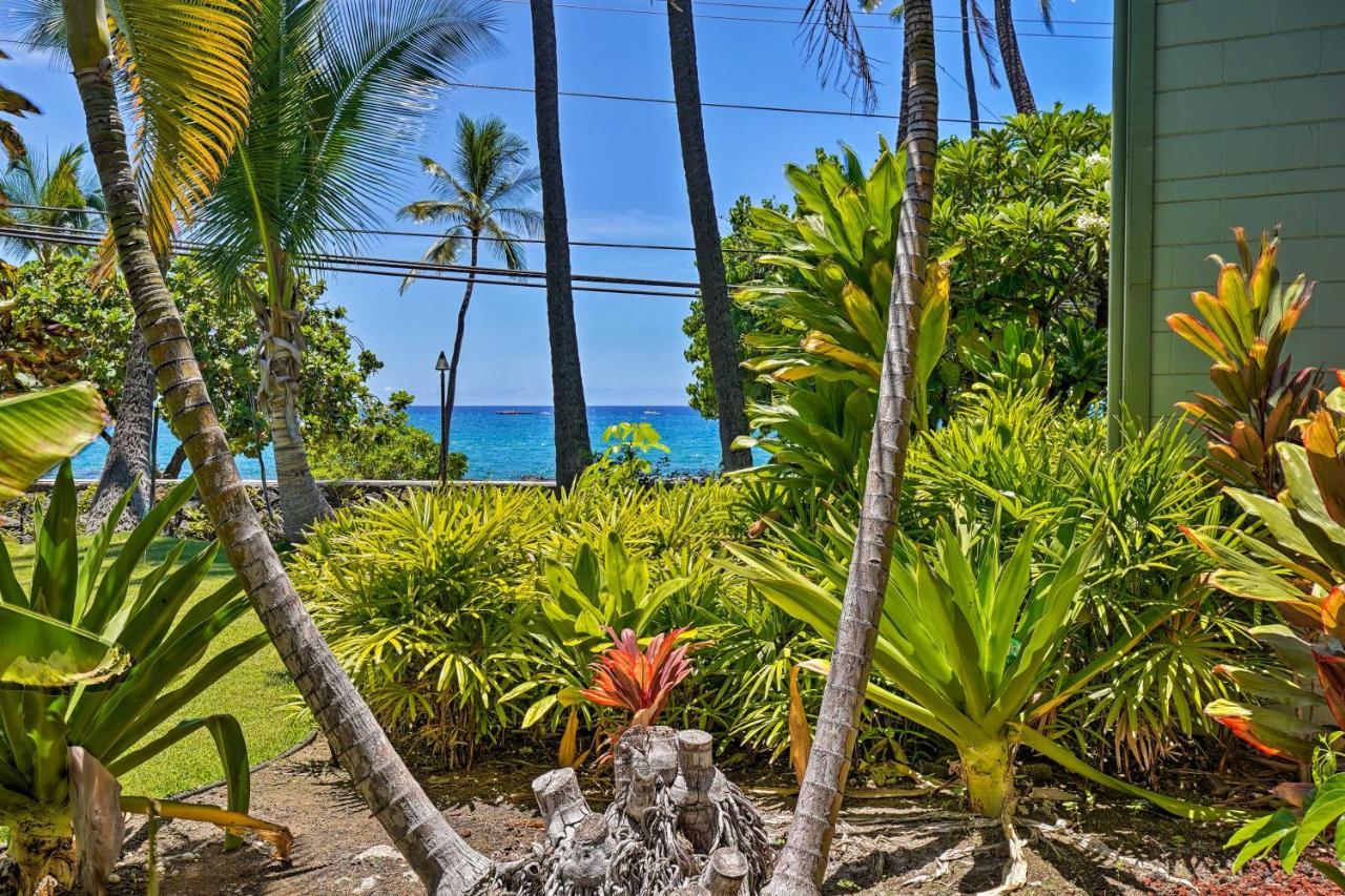 Oceanfront Islander With Lanai! Apartment Kailua-Kona