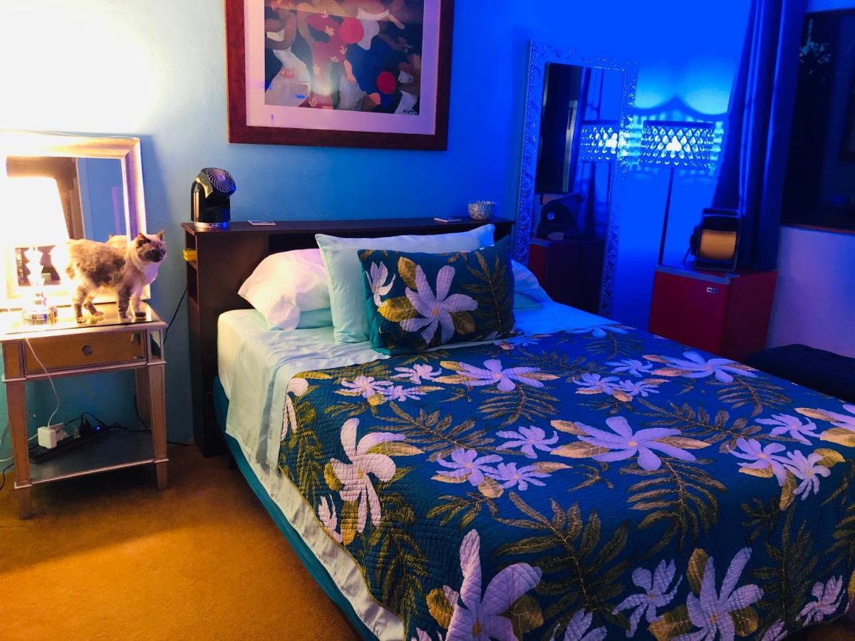 Homestay Kona Magic Honu Kailua-Kona