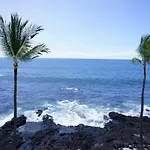 Kona Reef D37