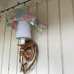Kona Hawaii Guest House A Unique Hawaii Experience