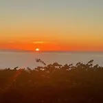Mango Sunset Bed And Breakfast