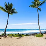 Kona Reef B32