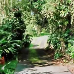 4Br Rainforest Oasis In Kona\'S Garden Of Eden