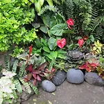 Lilikoi Inn