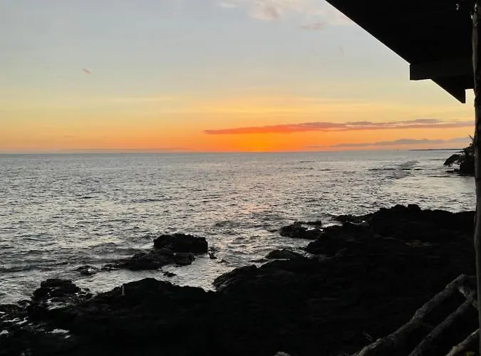 Oceanfront Delight