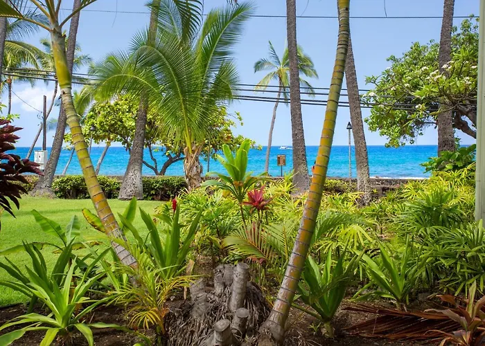 Spring Rates Book Now - Islander Condos