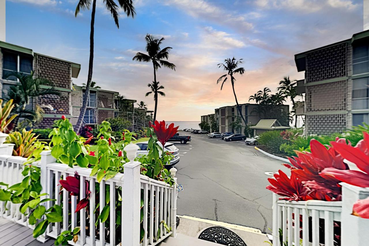 Alii 201
