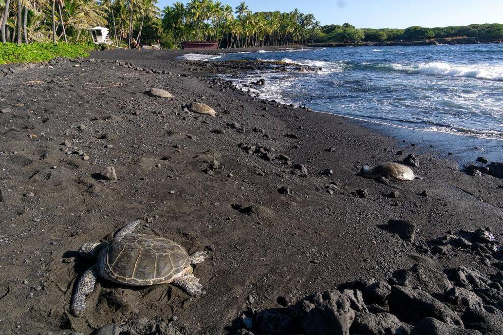 Holiday home On The Ocean, Lagoon And Garden - Hale Kona Kai 411 By Casago Kona