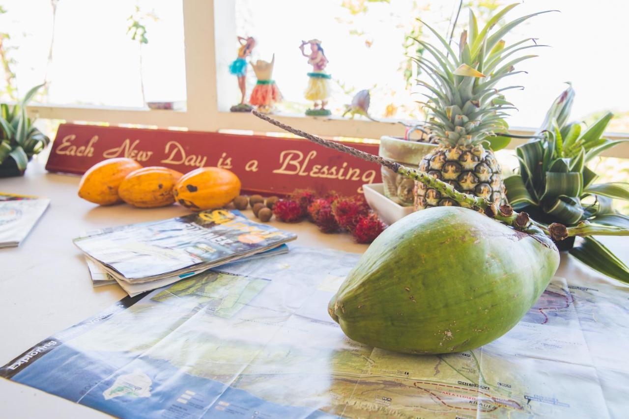 Guest house Kona Hawaii A Unique Hawaii Experience