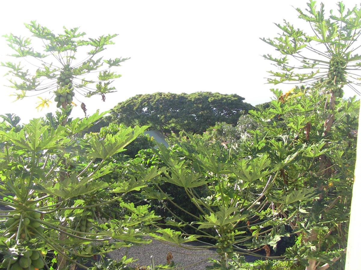Kona Hawaii A Unique Hawaii Experience Guest house Keauhou